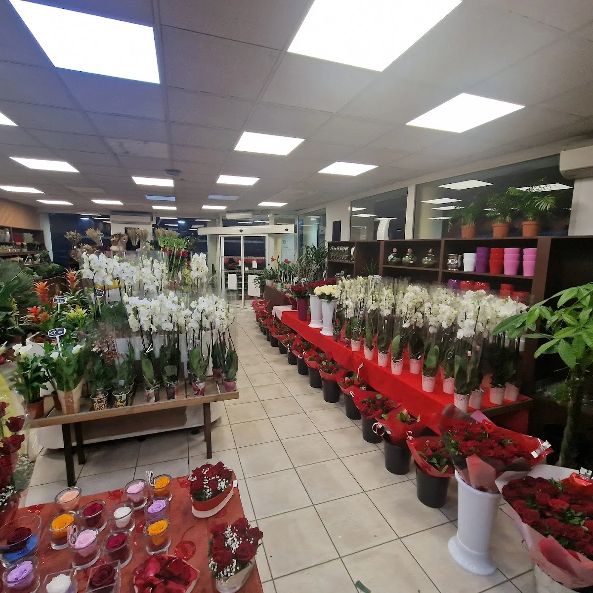 Fleurs du Raincy - 2