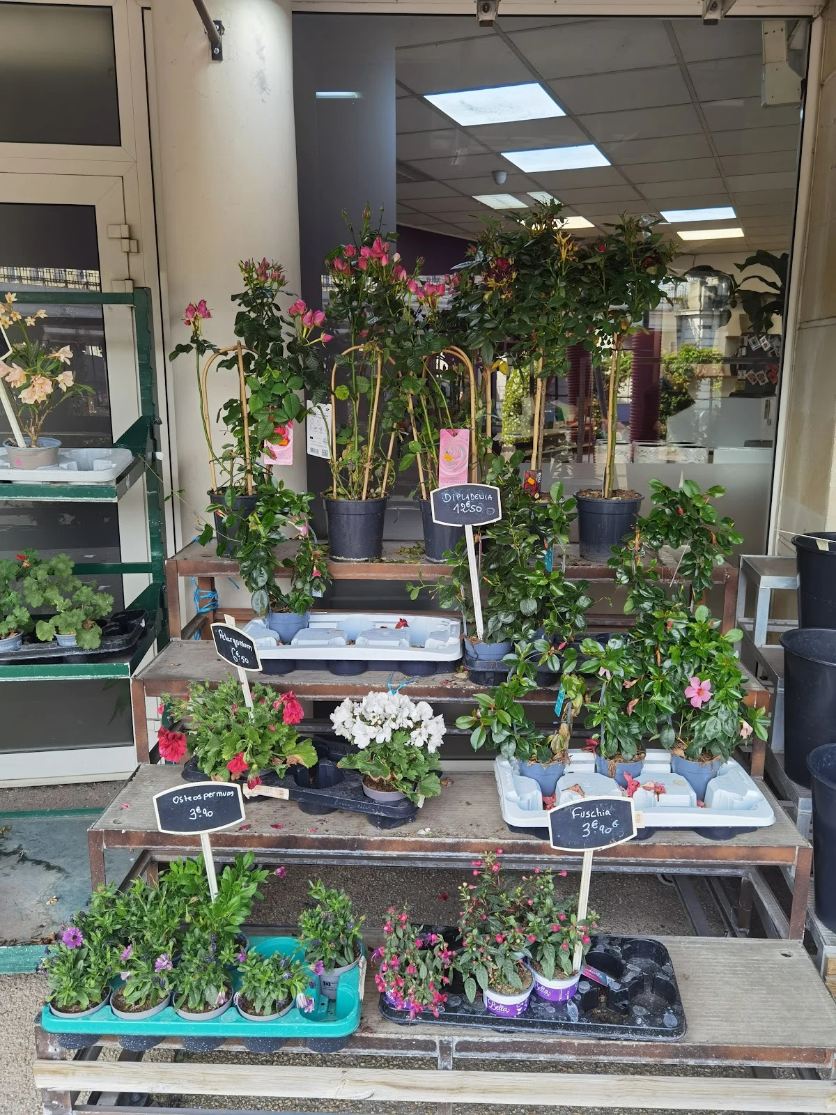 Fleurs du Raincy - 3