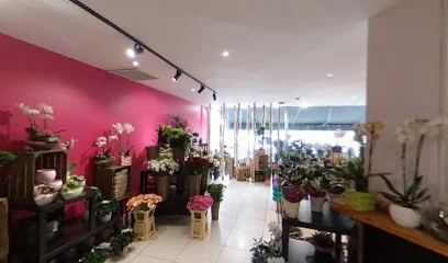FLEURS DU TEMPS