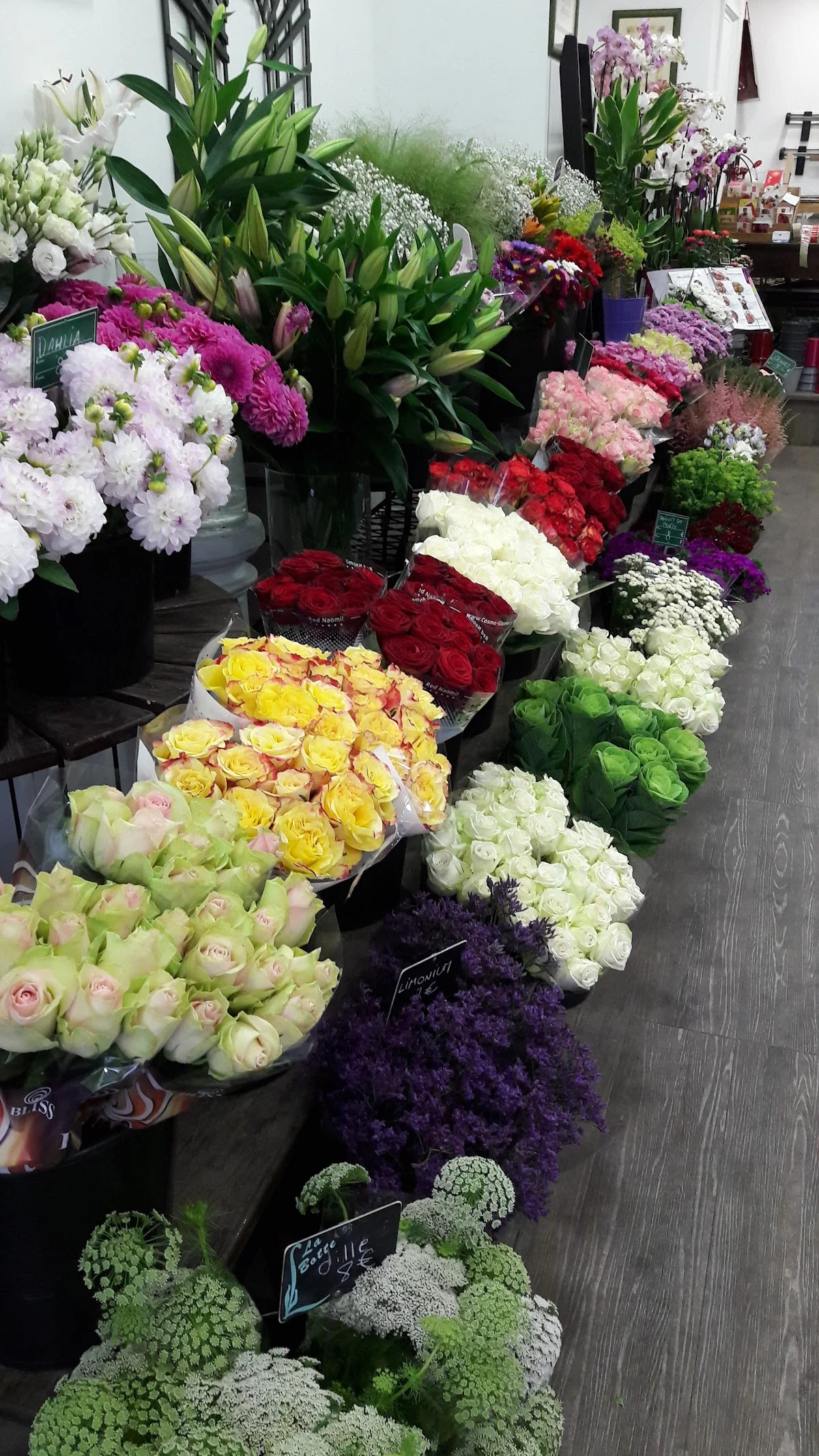 Fleurs en Folie - 3