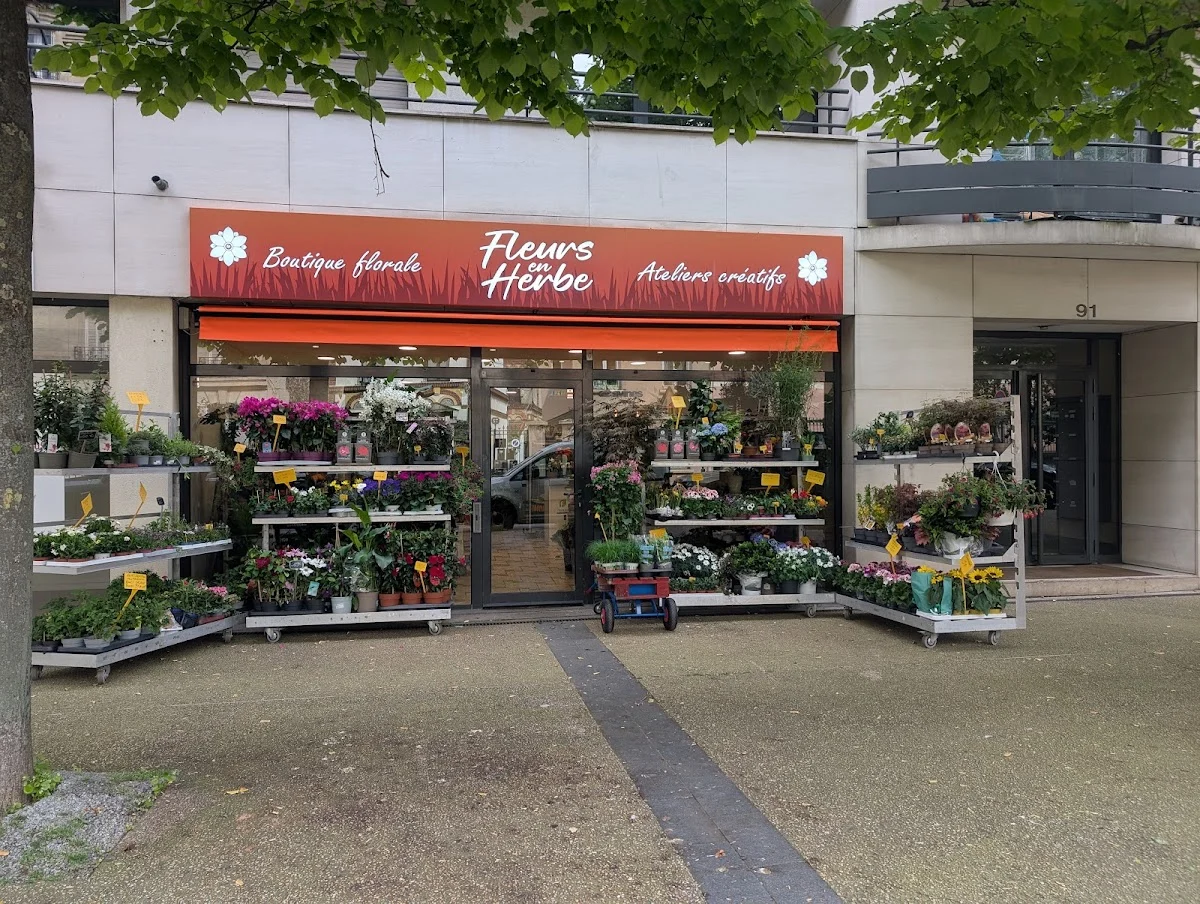 Fleurs en herbe