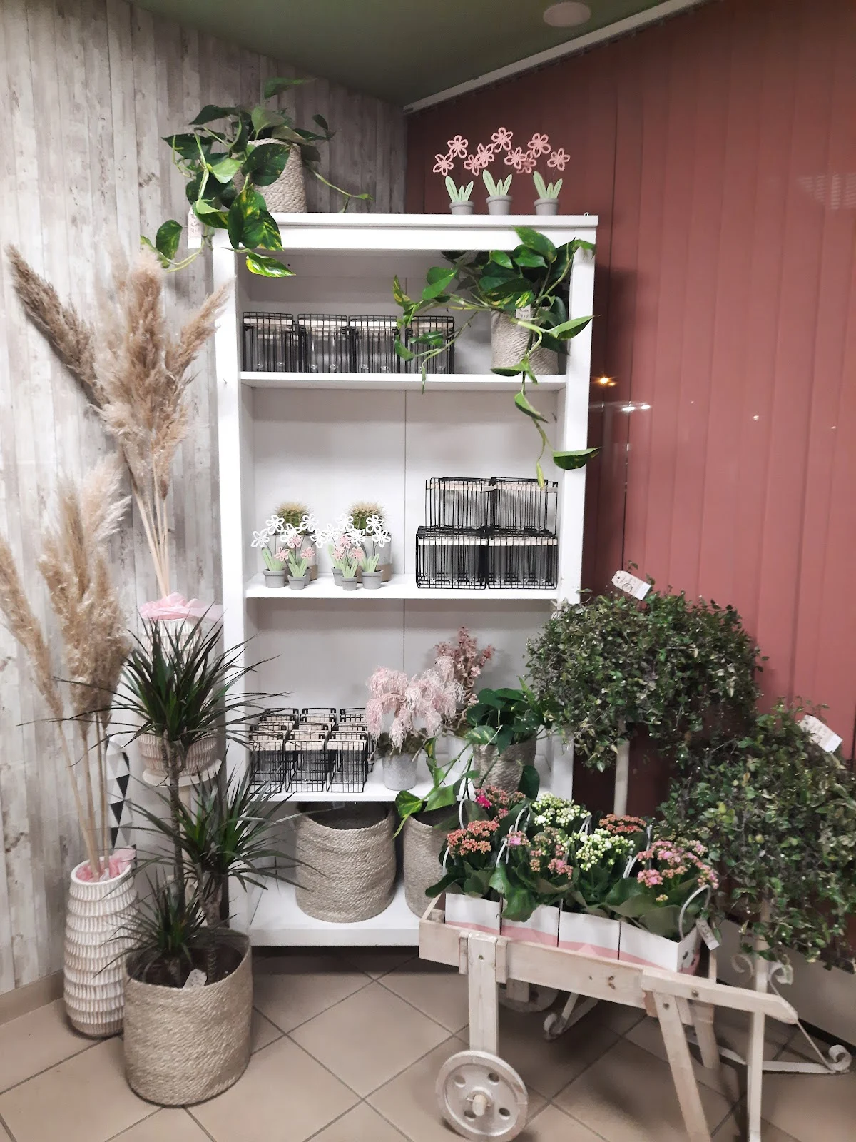 Fleurs et Fleurettes - 4