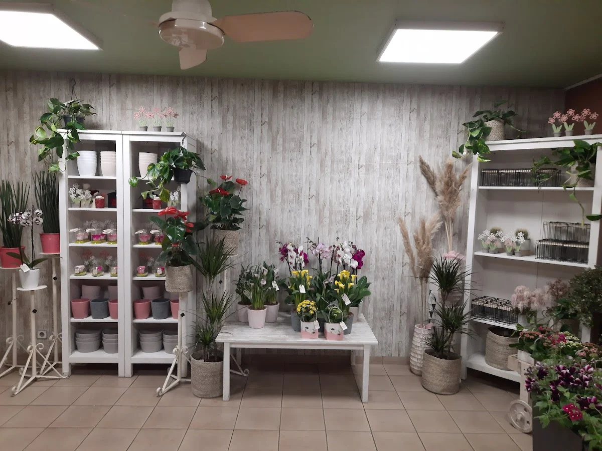 Fleurs et Fleurettes