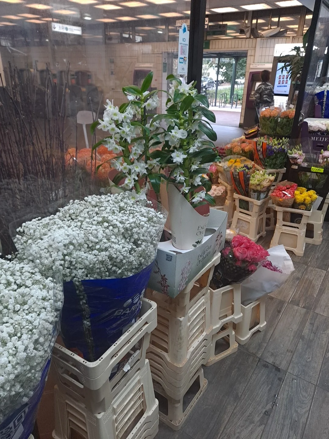 Fleurs et Fruits Malakoff - 2