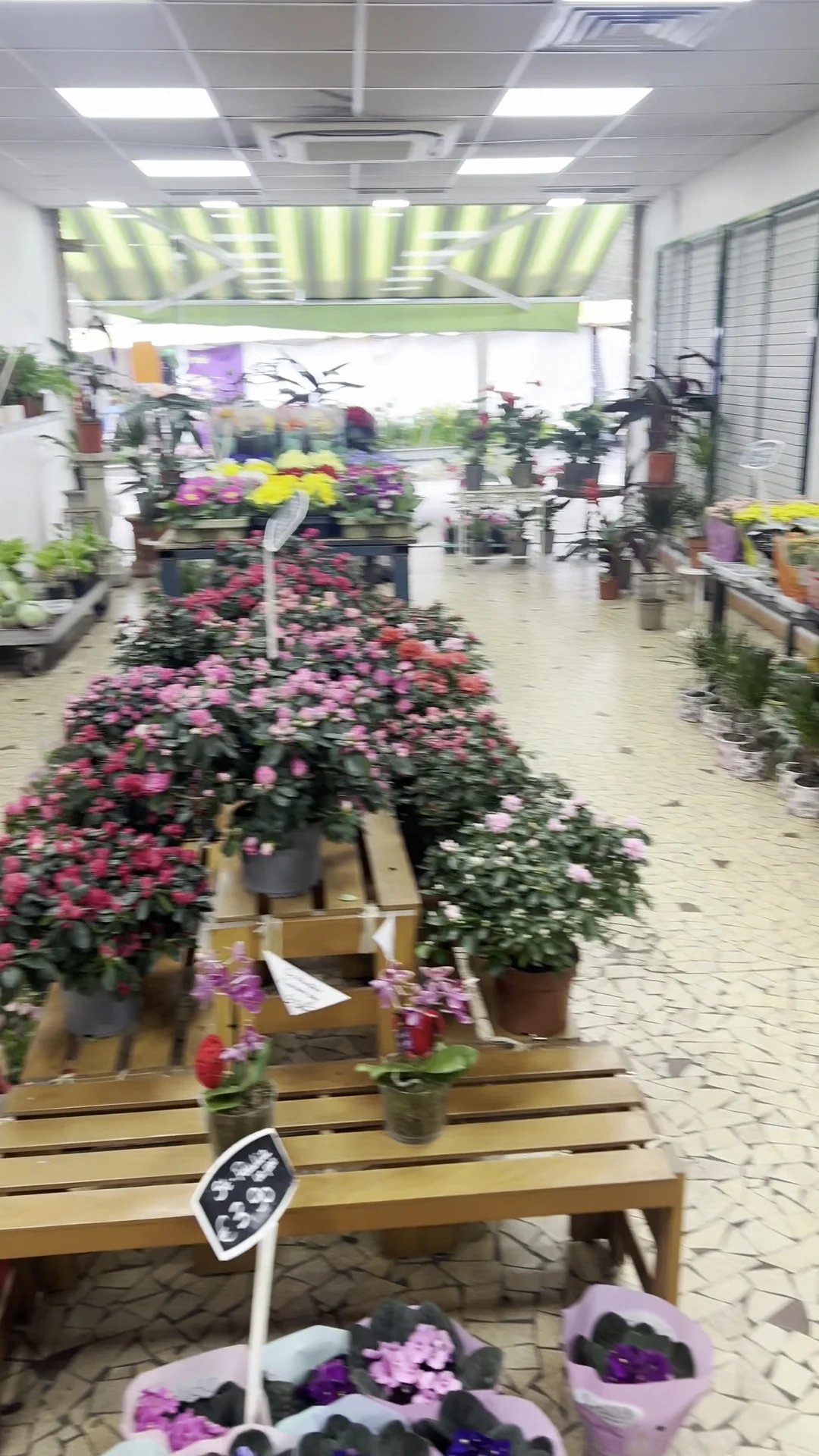 Fleurs et Jardins - 3