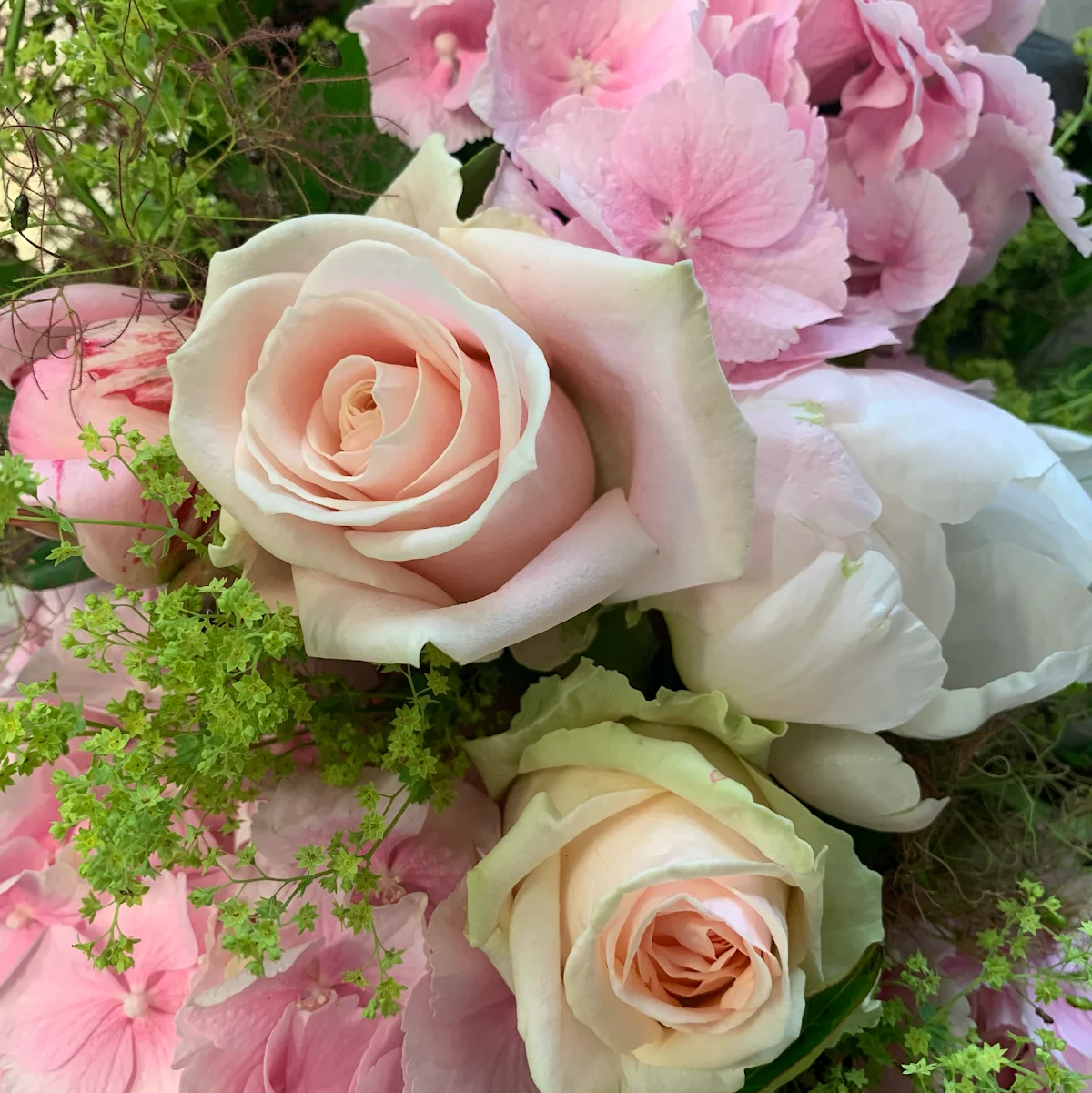 Fleurs Flora - 4