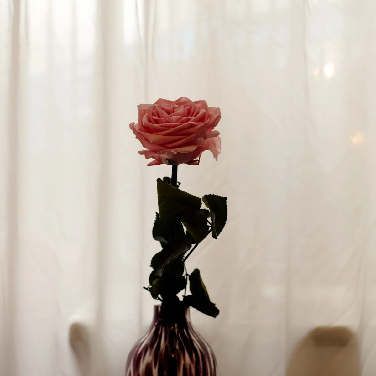 Fleurs & Nature | Fleuriste Saintes - 2