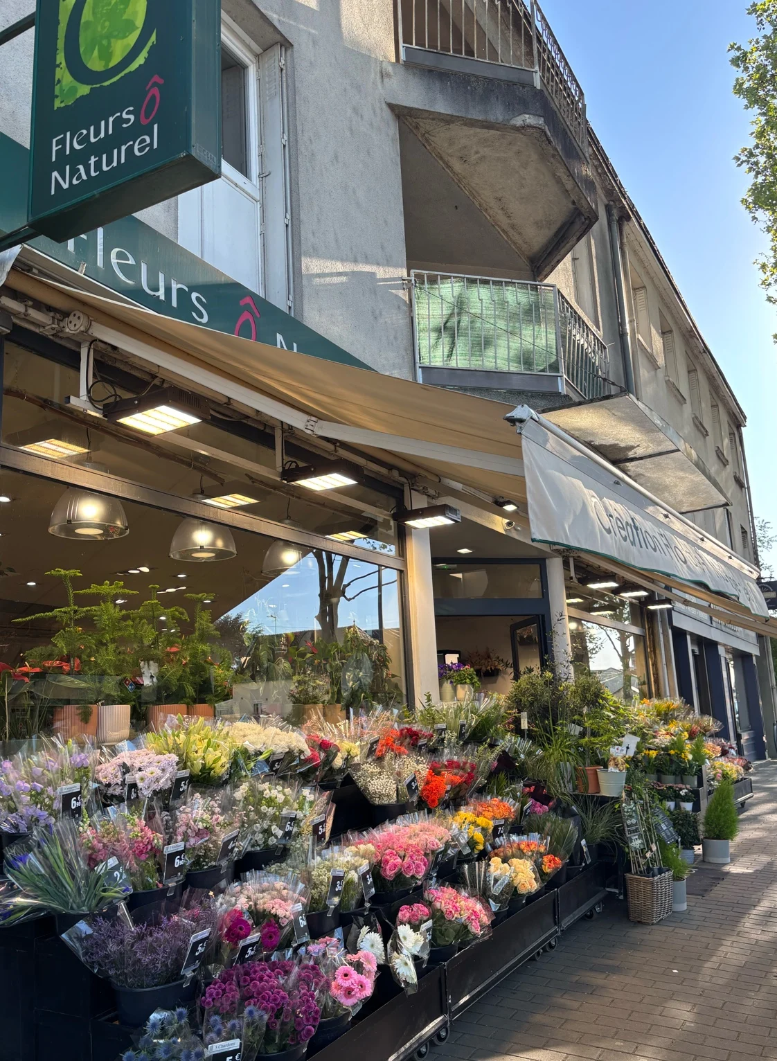 Fleurs Ô Naturel