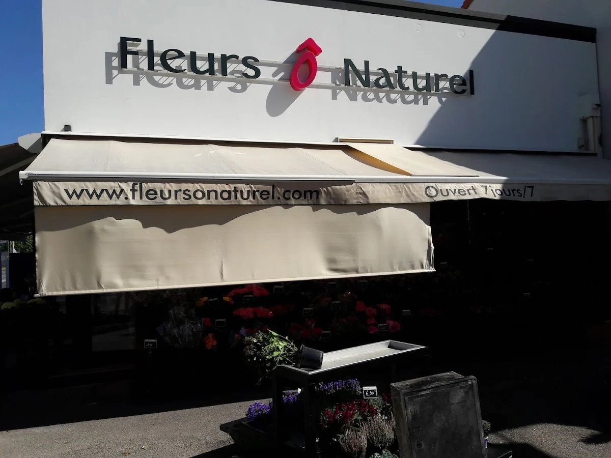 Fleurs Ô Naturel - 3