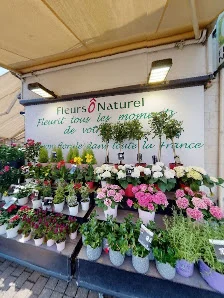 Fleurs Ô Naturel - 3