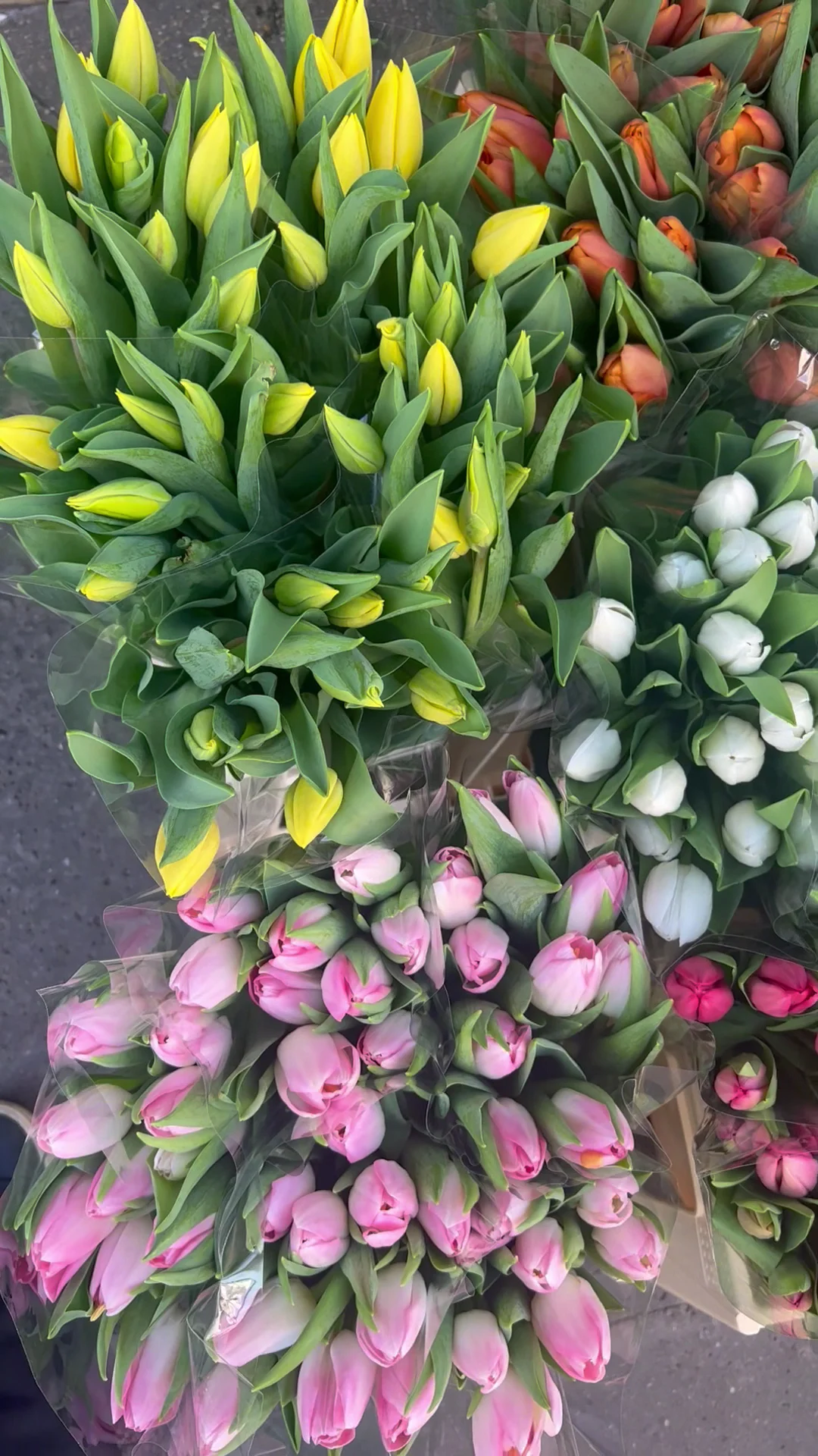 Fleurs Saint Lazare Paris - 4