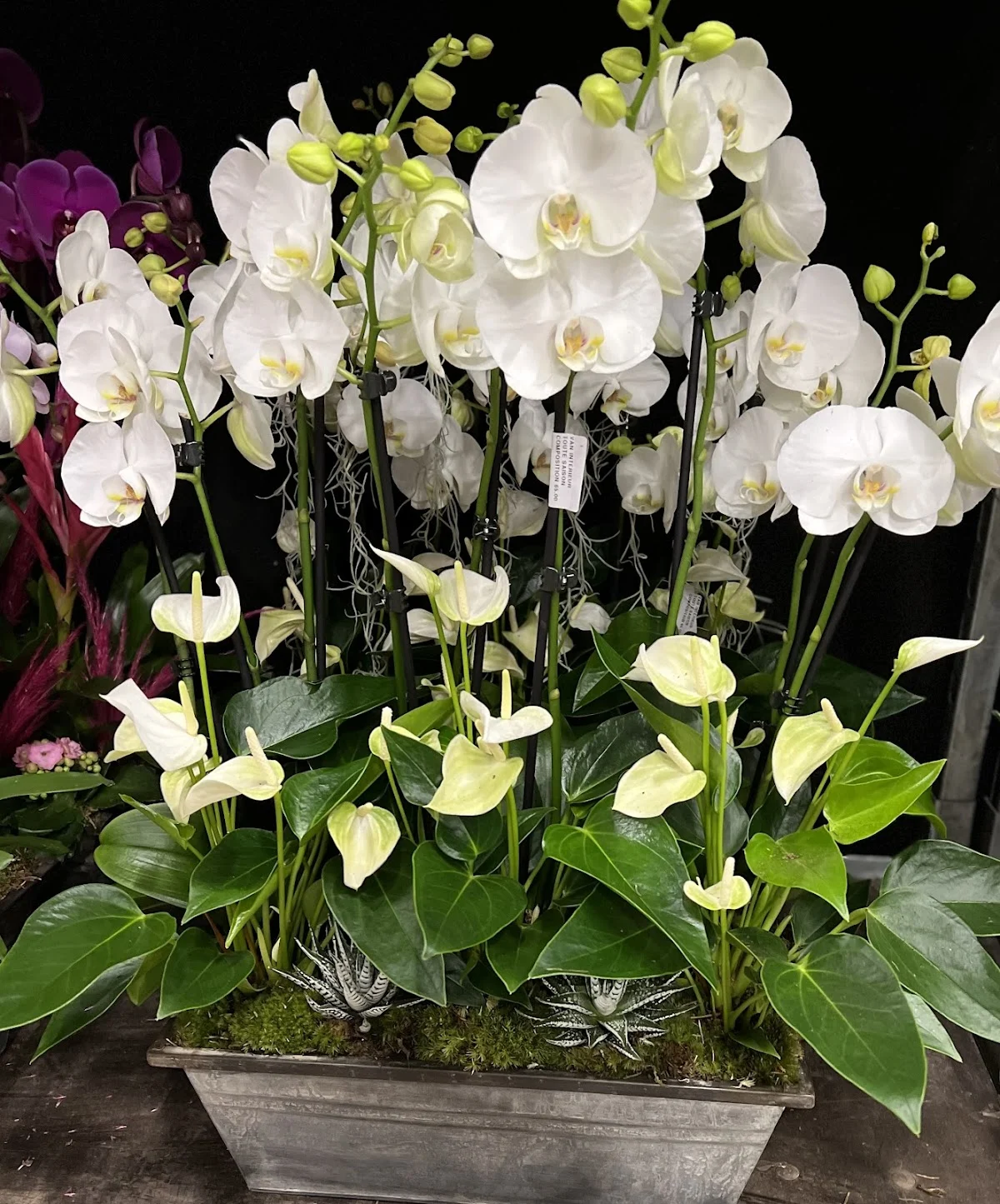 Fleurs Saint Lazare Paris - 7
