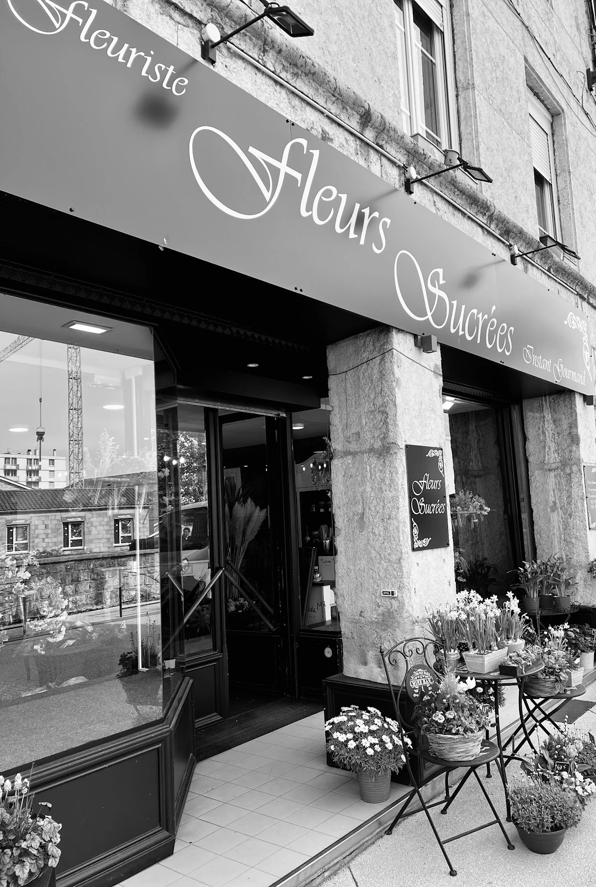 Fleurs Sucrées - 4