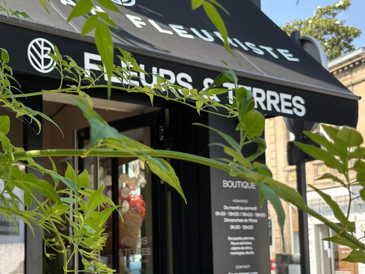 Fleurs & Terres - Fleuriste Talence