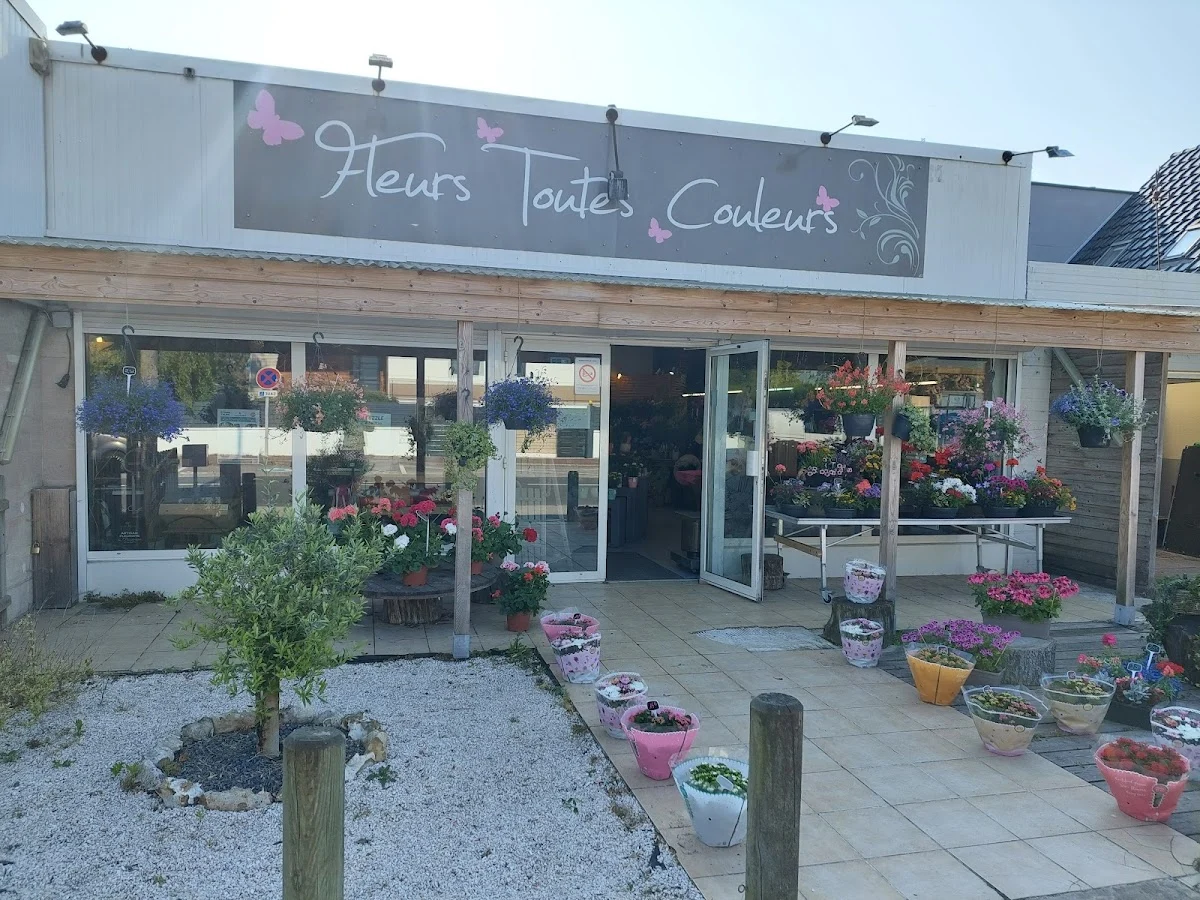 Fleurs Toutes Couleurs
