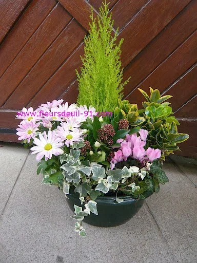 fleursdeuil-91 - 2