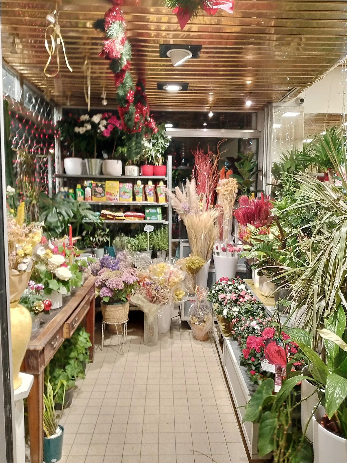 FLF - 3