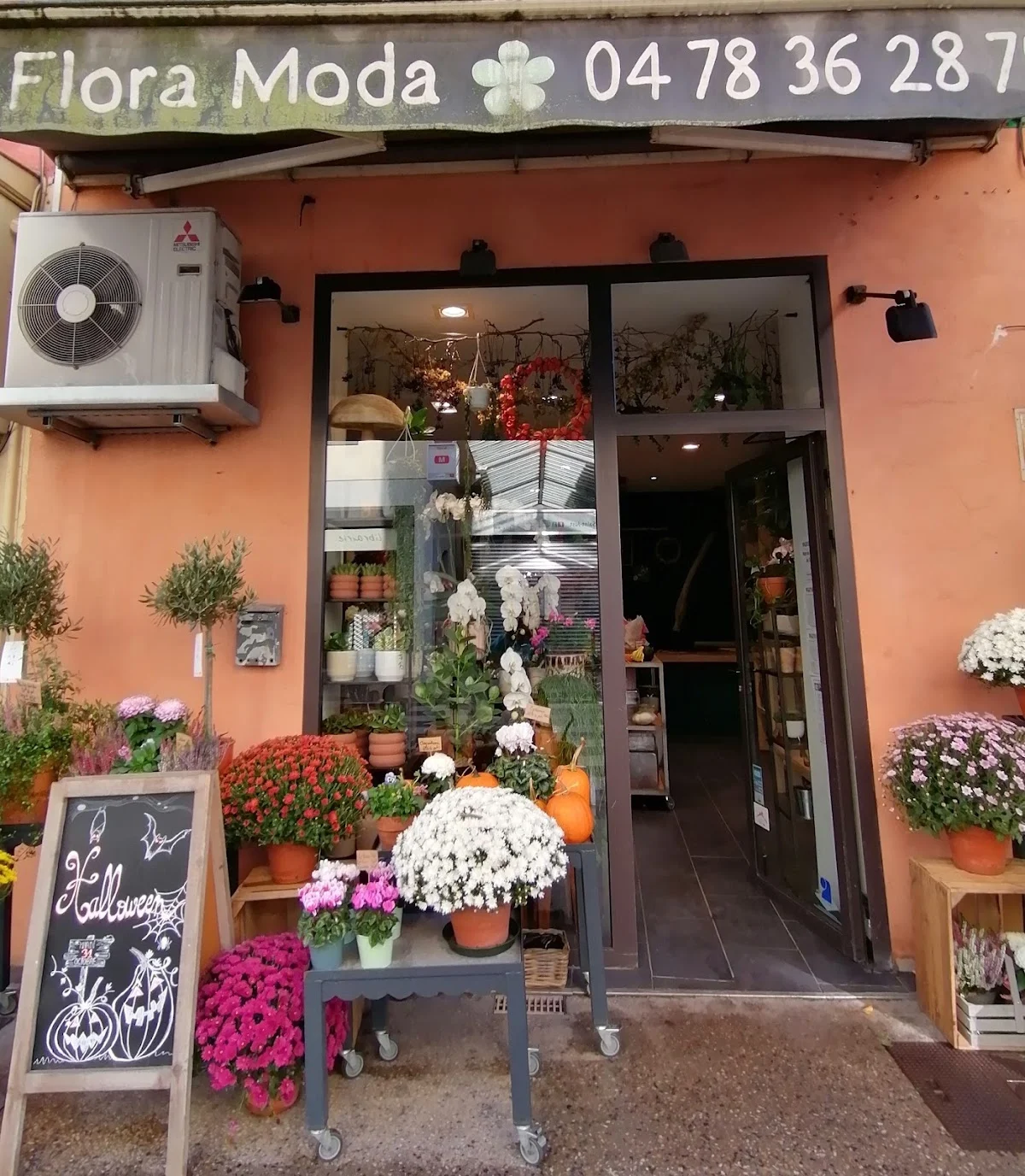 Flora Moda