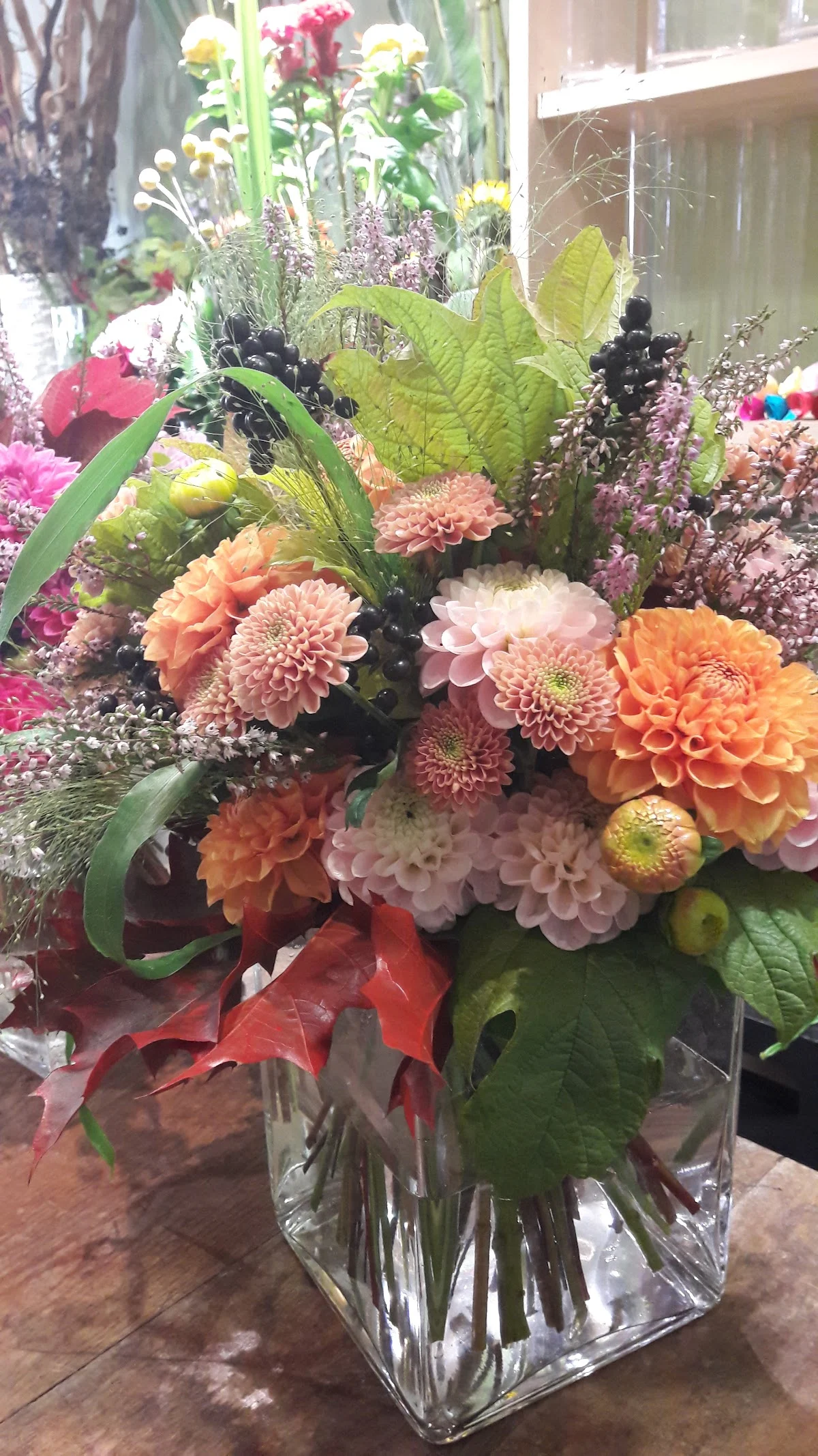 Flora Moda - 4