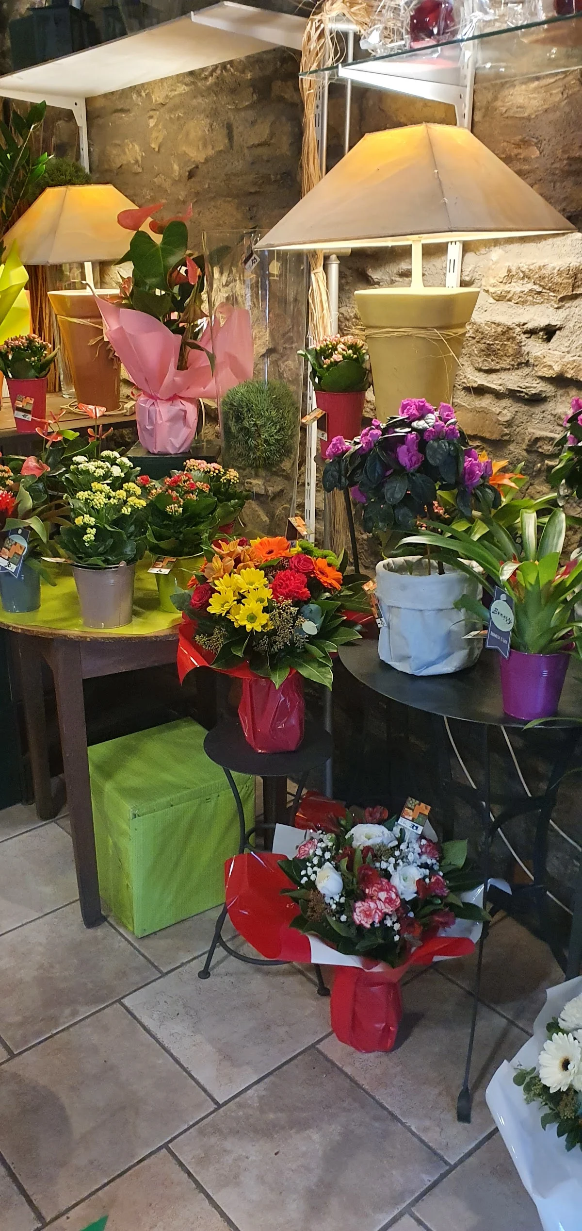 Floramorphose - 3