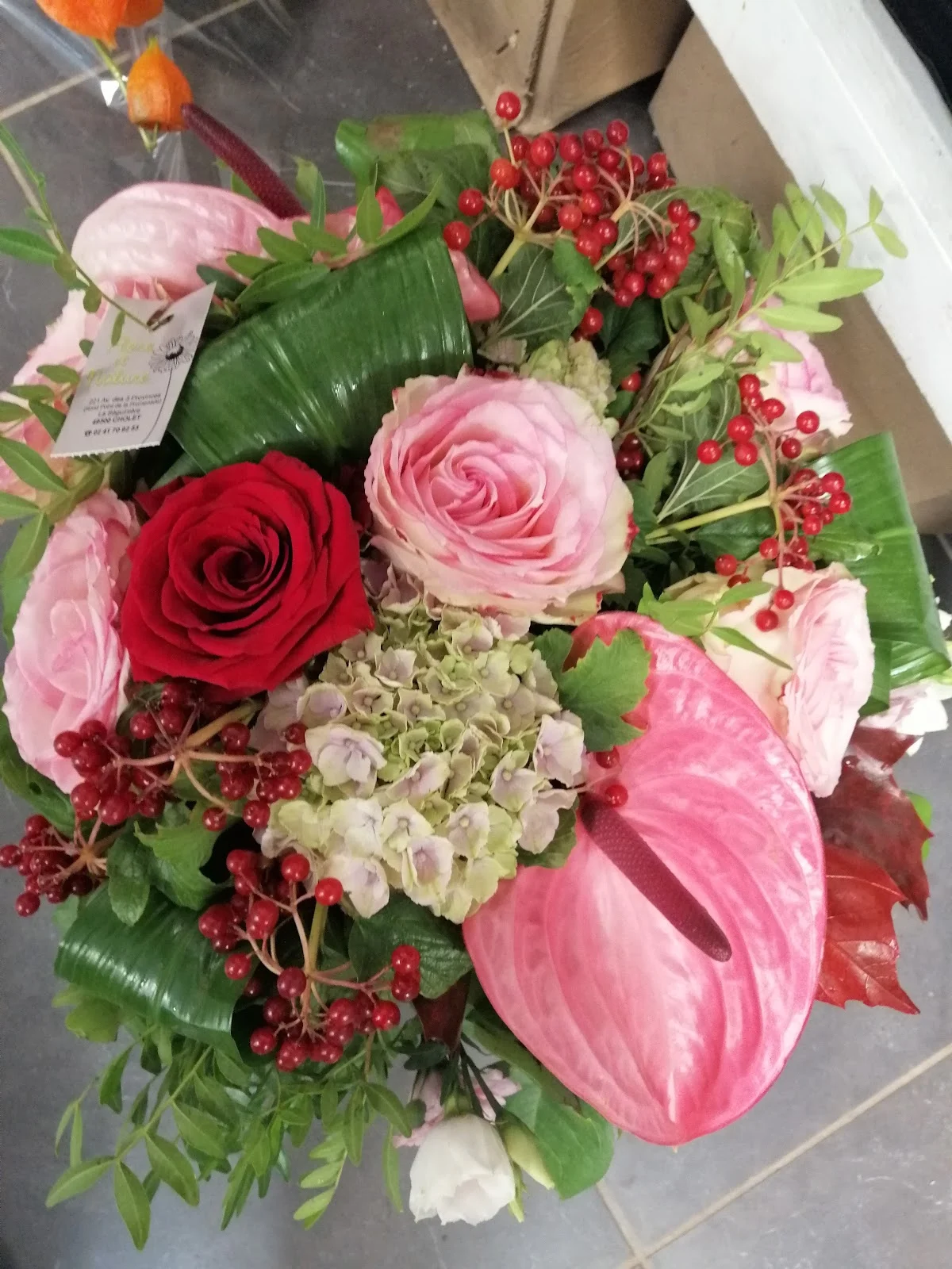 Flore et Nature - 3