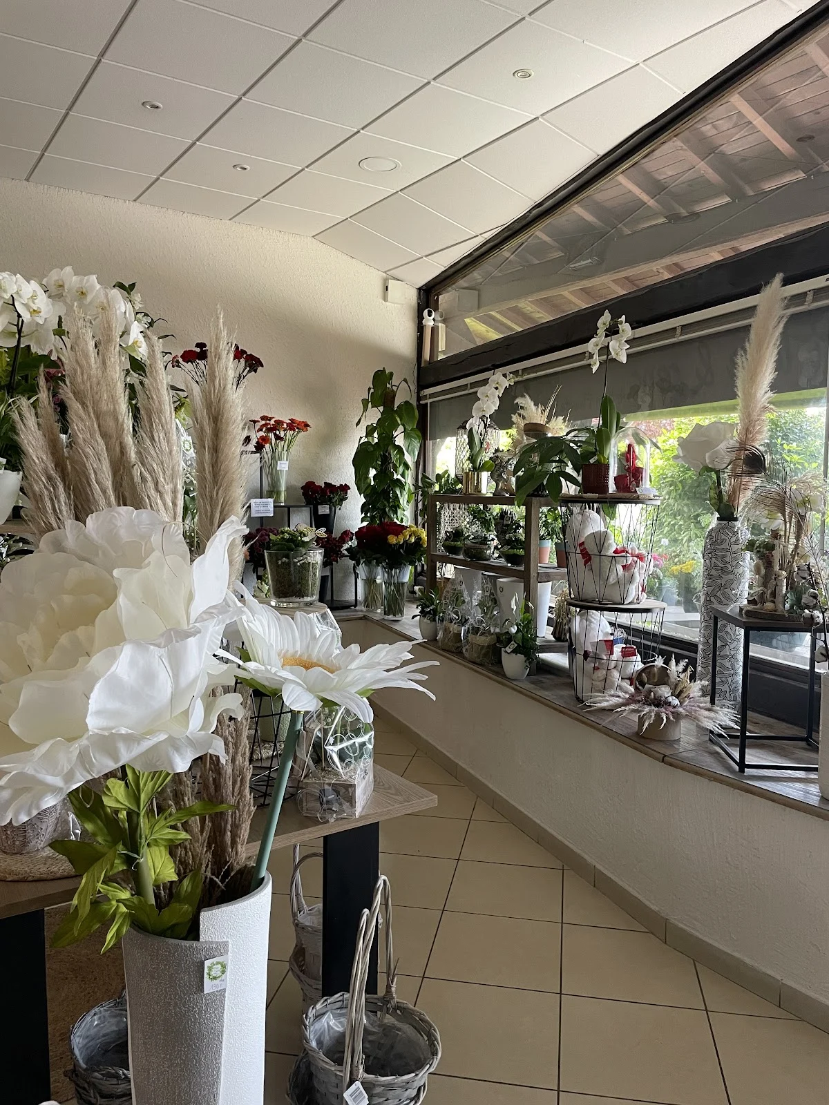 Flore et Sens - 2
