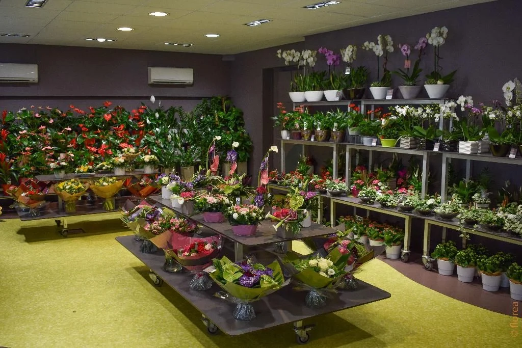 Florea | Fleuriste Limoges - 2