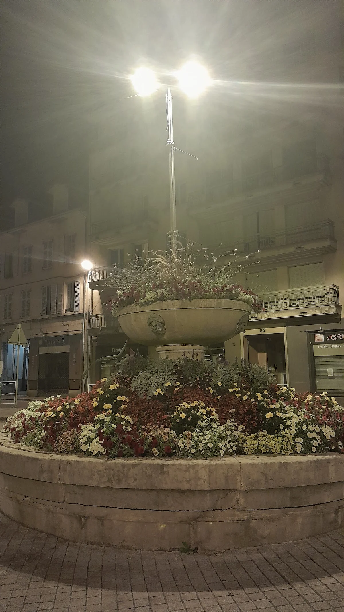 Florescence - 2