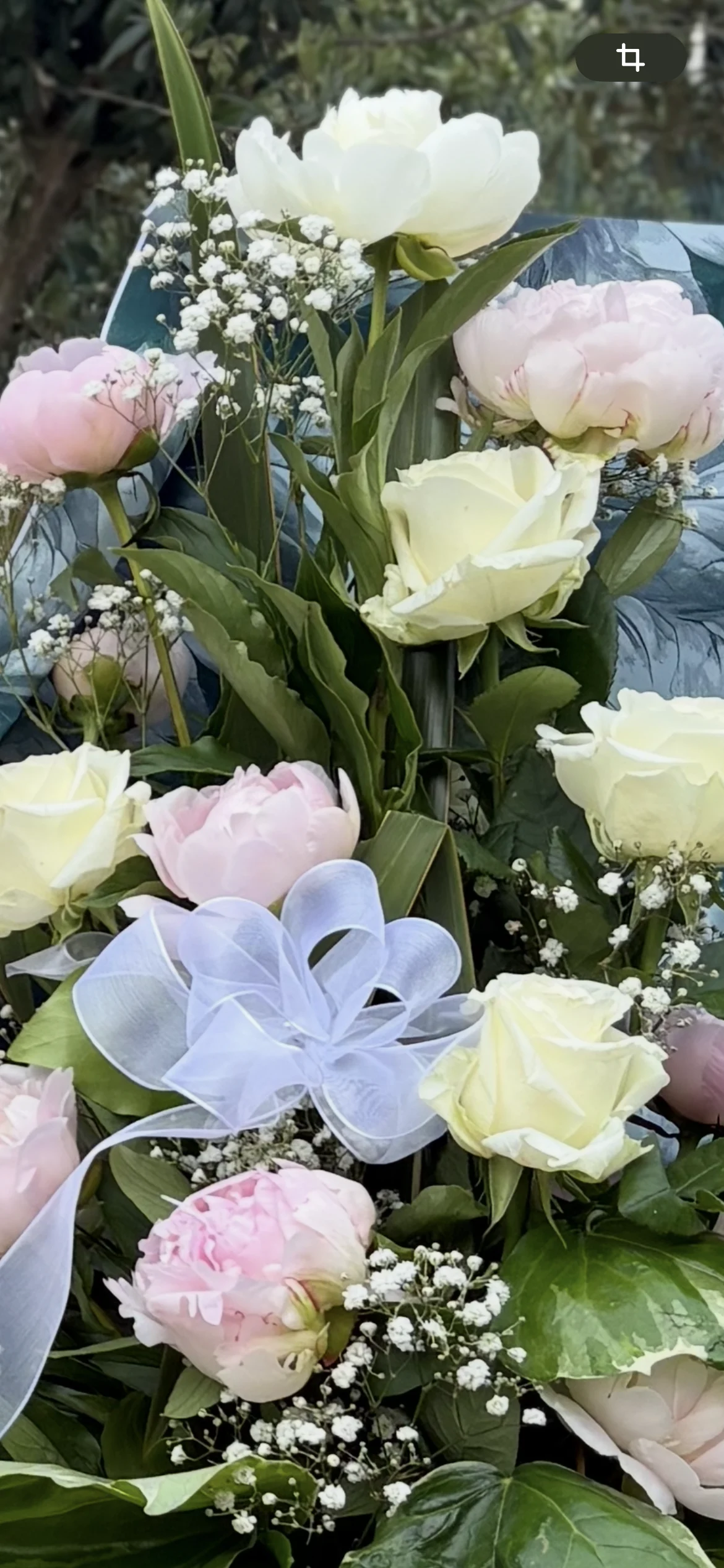 Floribelle - 2