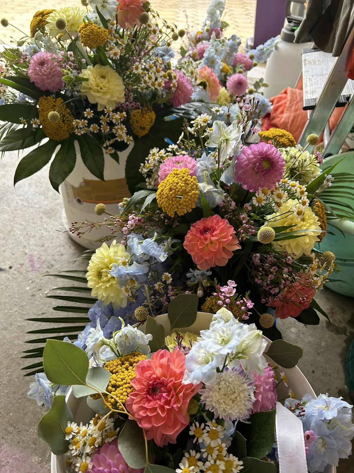 Florocean - 2