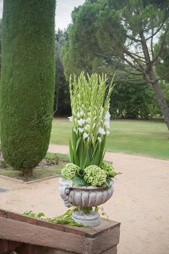 Flor&Sens - 3