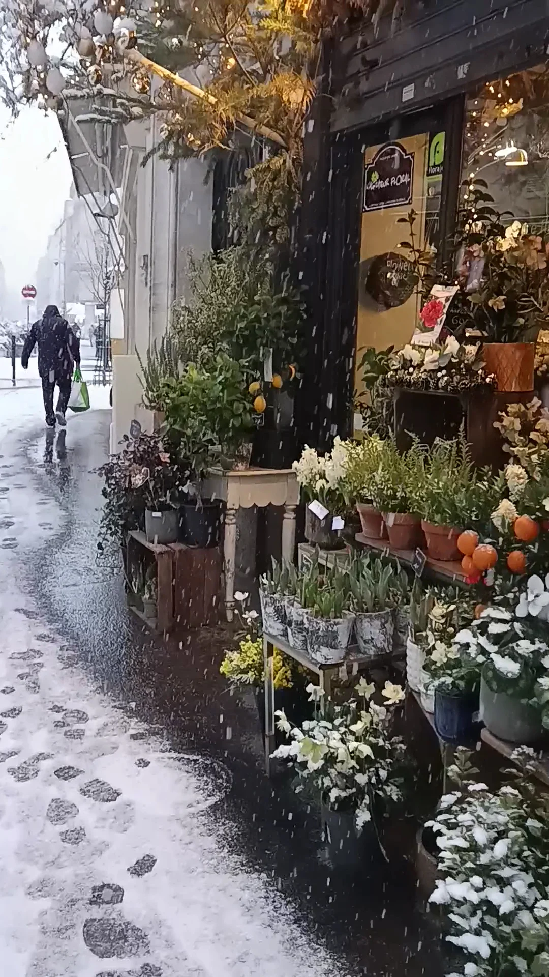 Flower impact - Fleuriste Paris 12 - 3