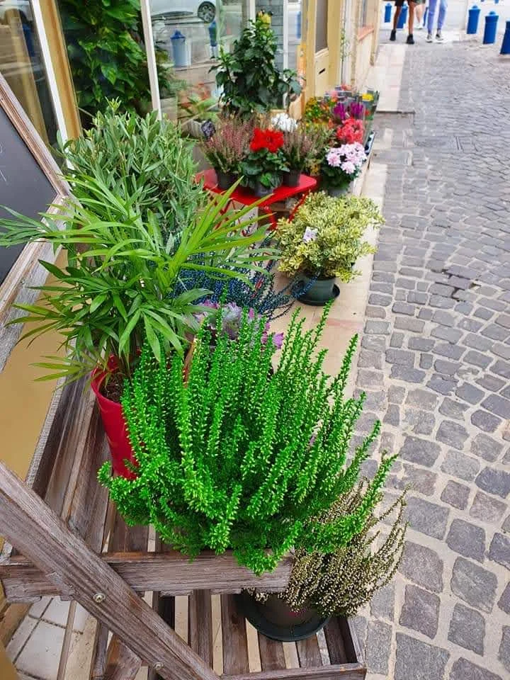 Flower Shop - 3