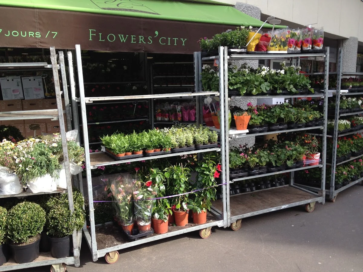 Flowers’ City - 2