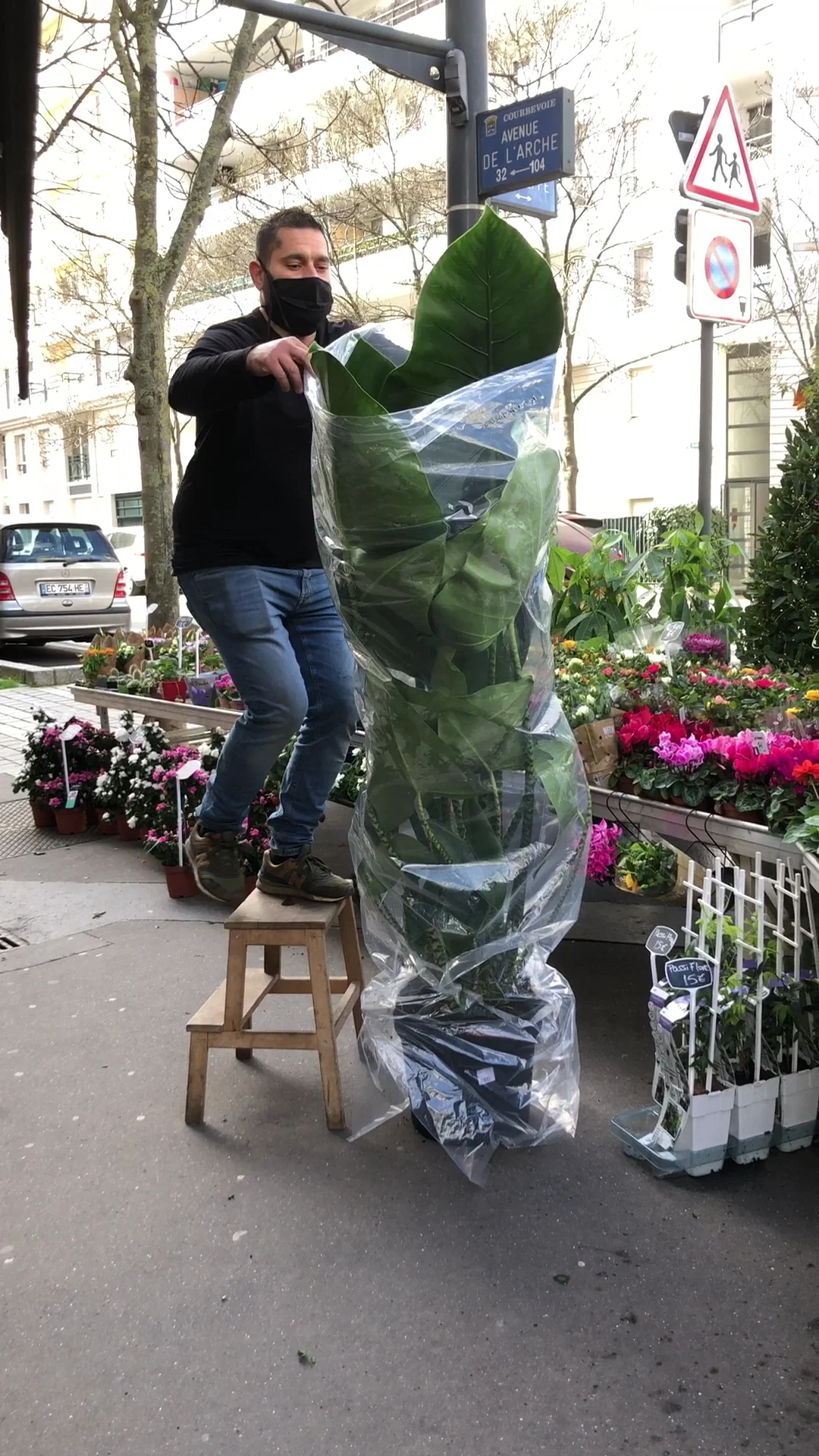 Flowers’ City - 5