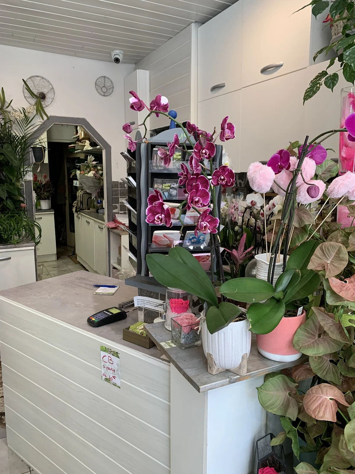 France Flore - 2