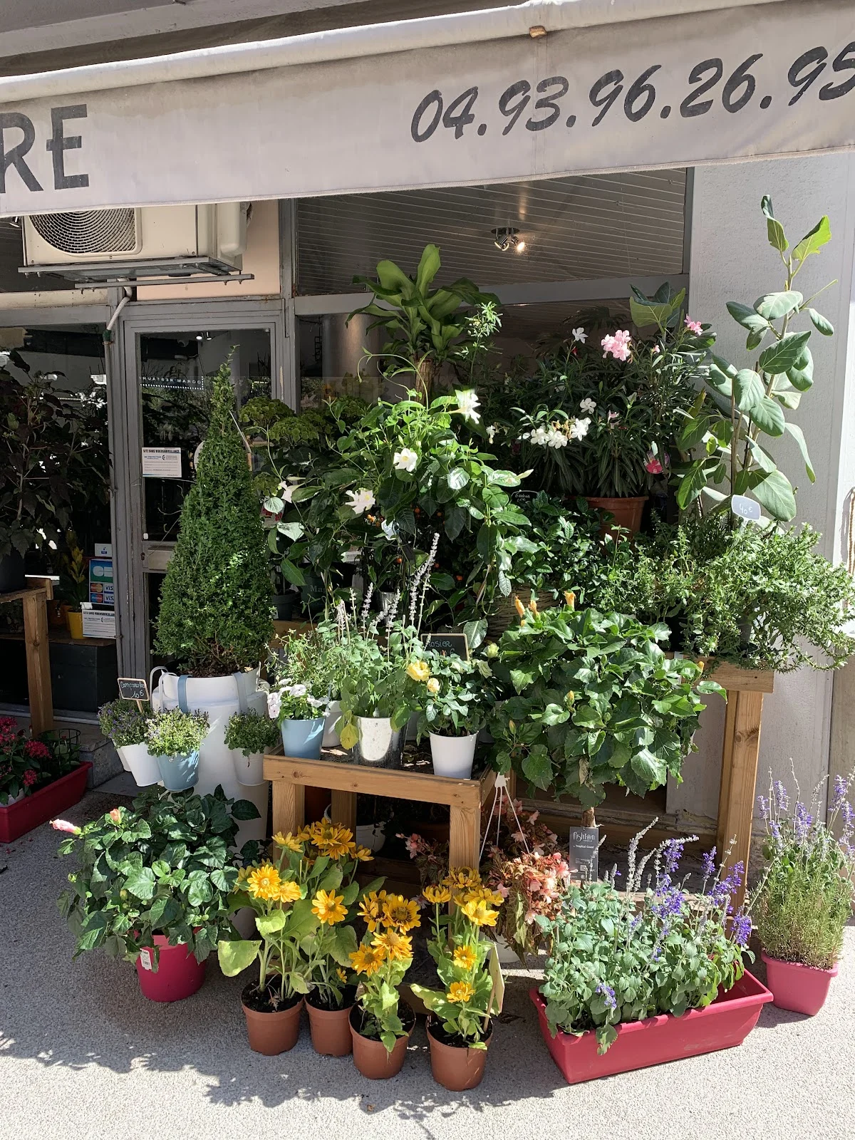 France Flore - 3