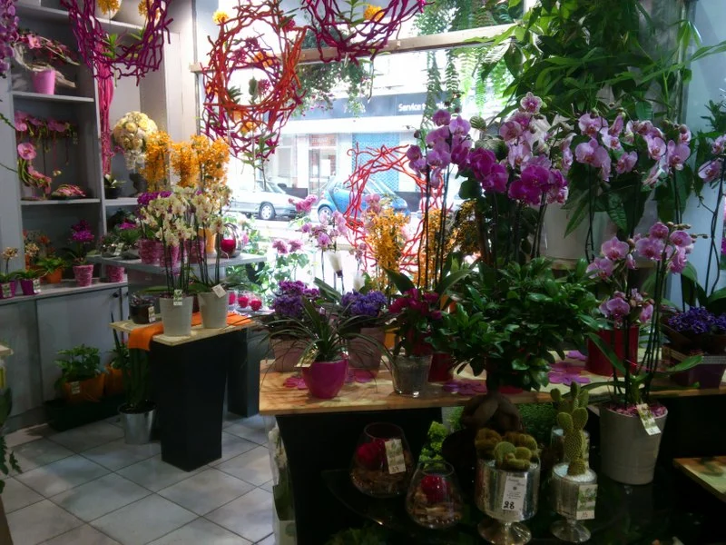 France Flore - 4