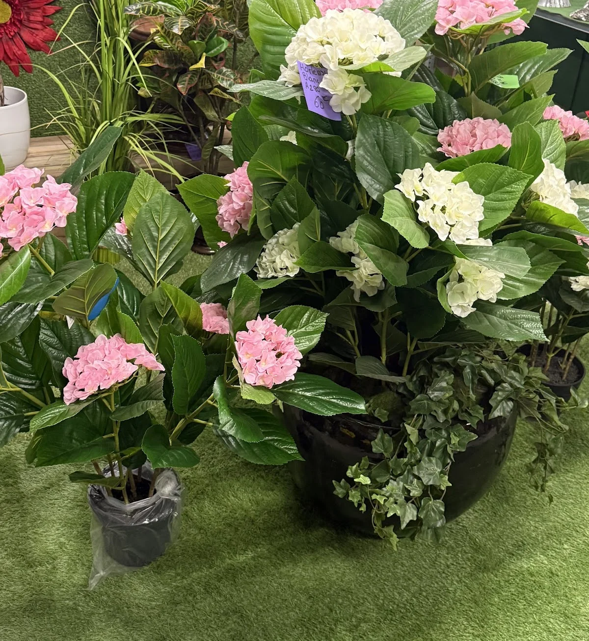 Franco Fleurs - 2