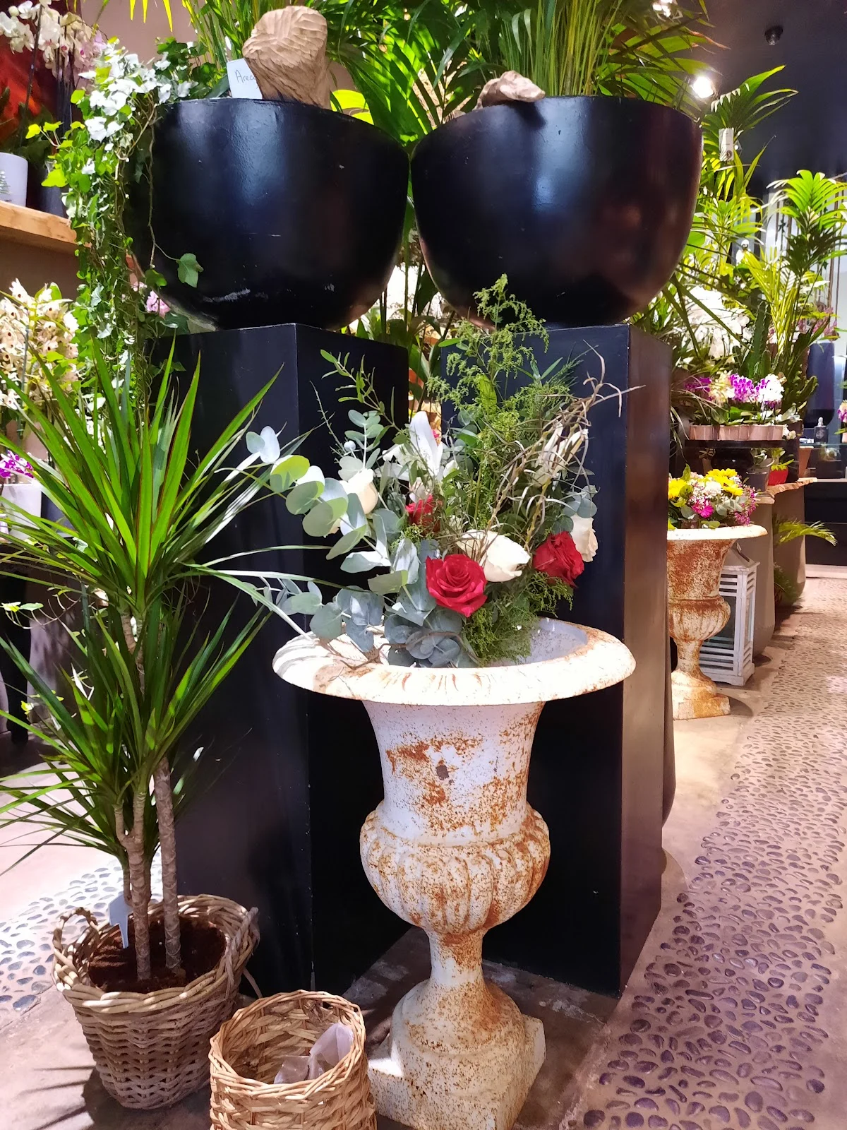 Franklin Fleurs - 2