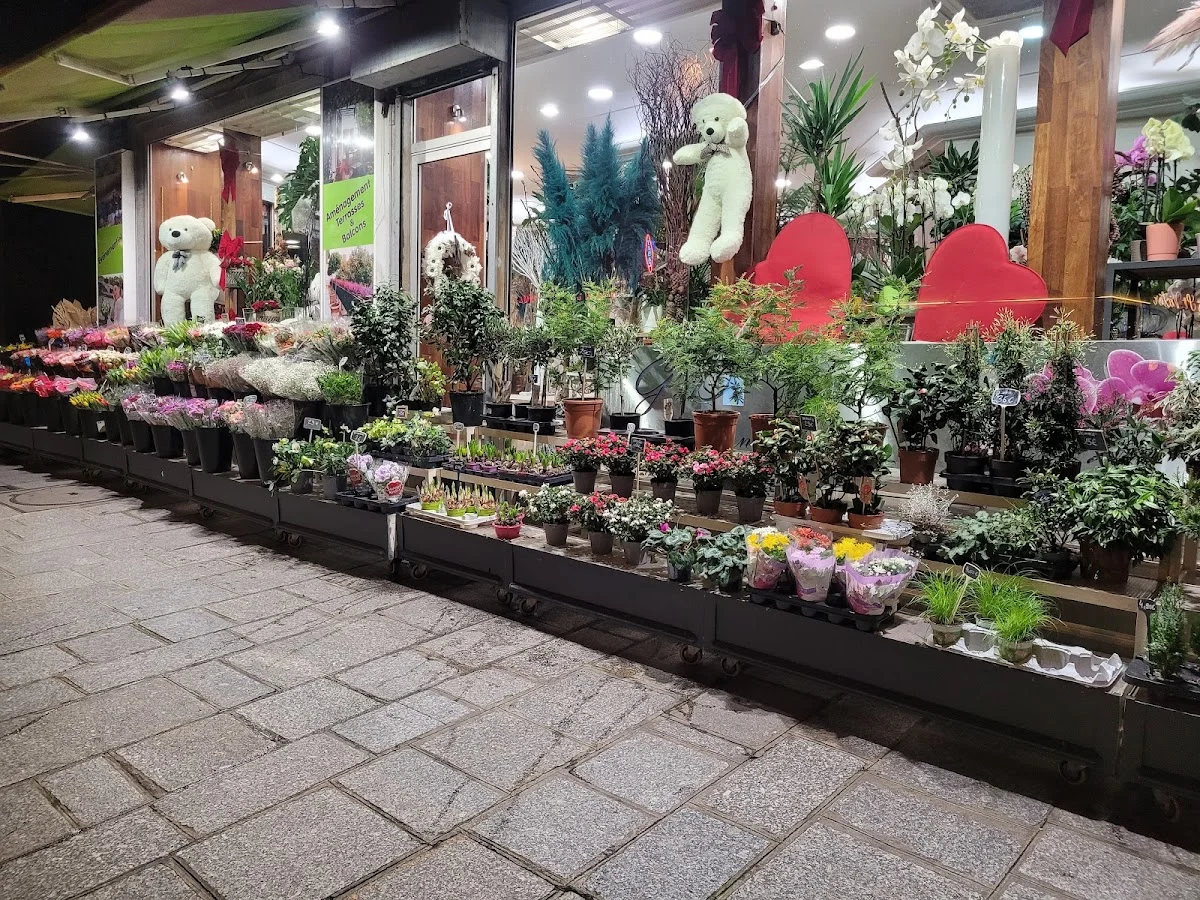 G.D Fleurs - 3