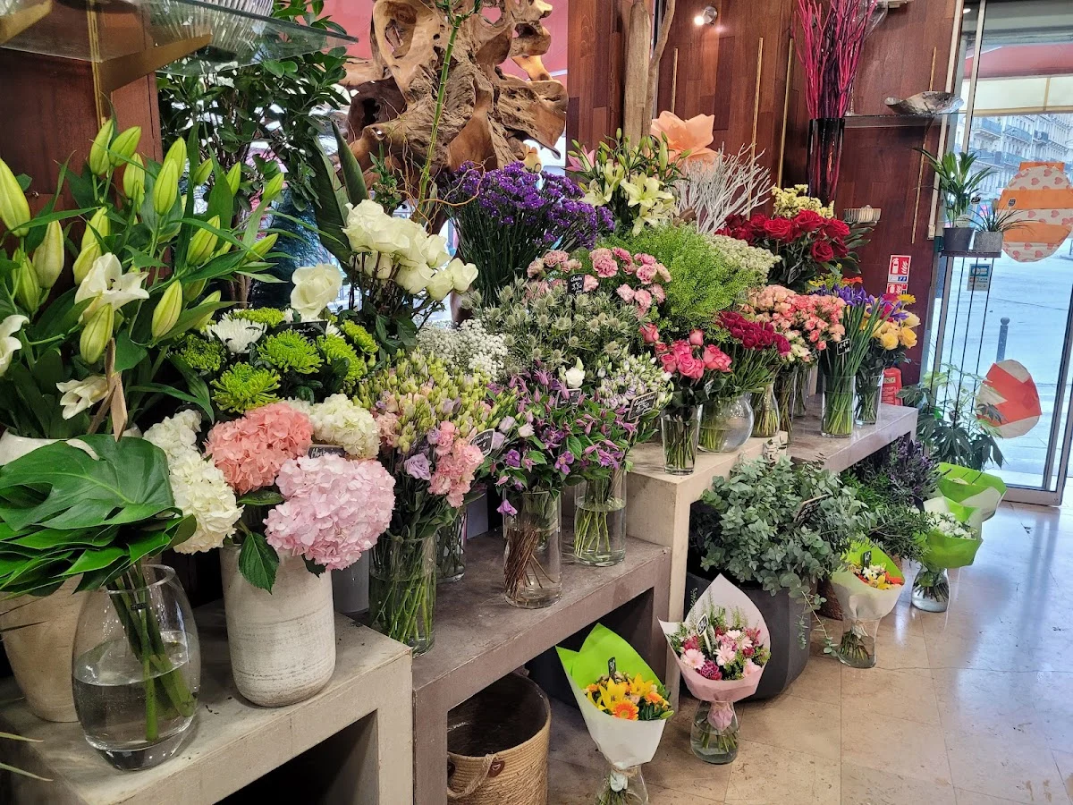 G.D Fleurs - 4