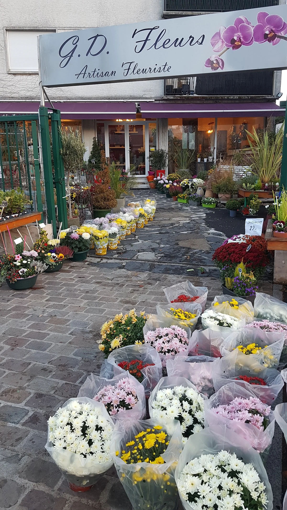 G.D Fleurs