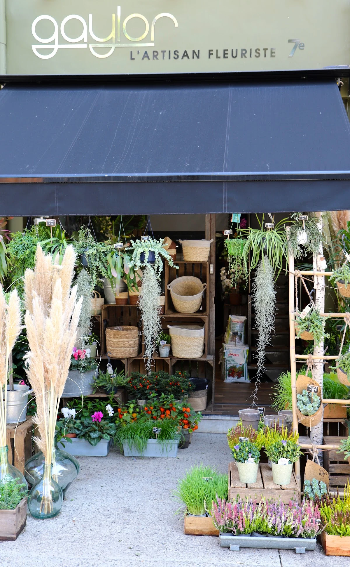 Gaylor l'artisan fleuriste 7ème - 2