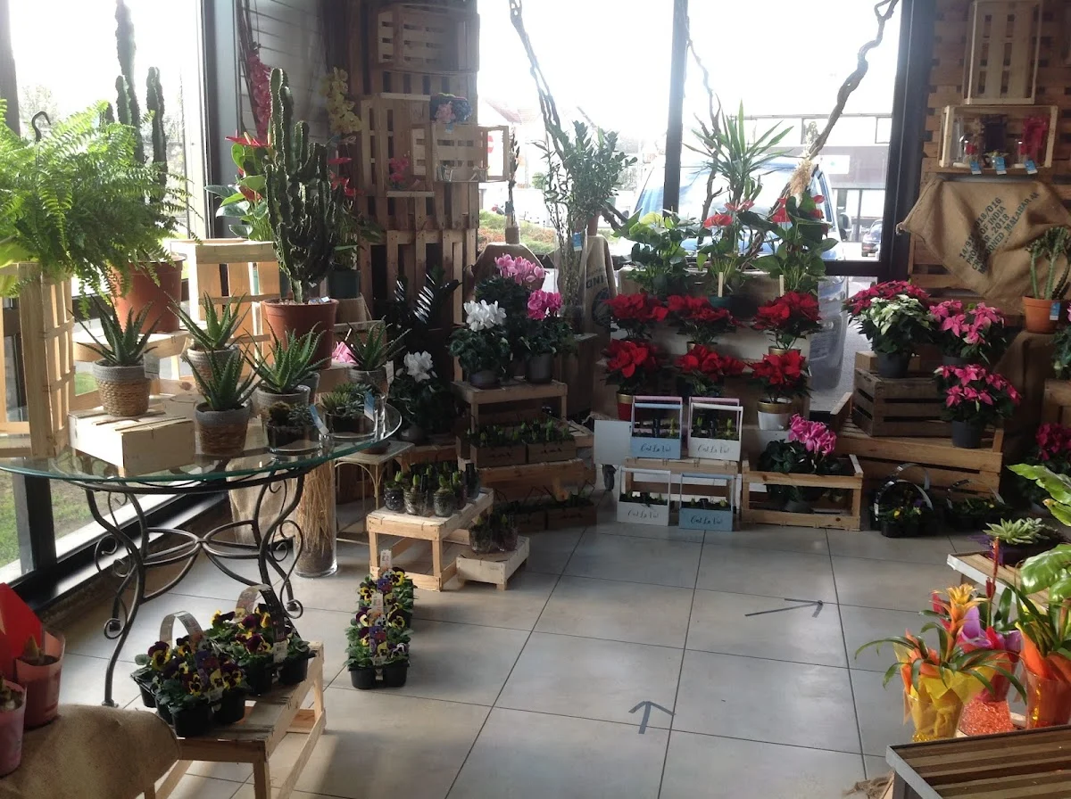 Génération Fleurs