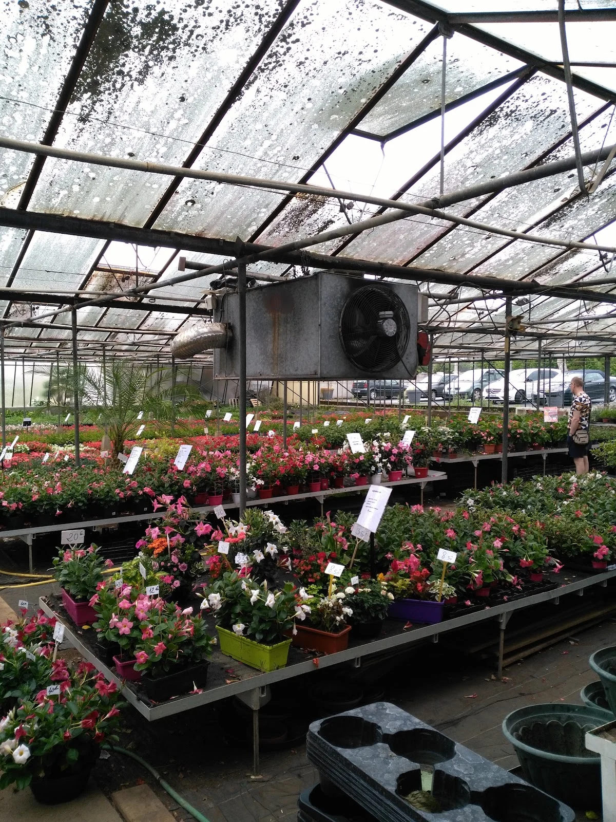 Gilbert Fleurs - 4