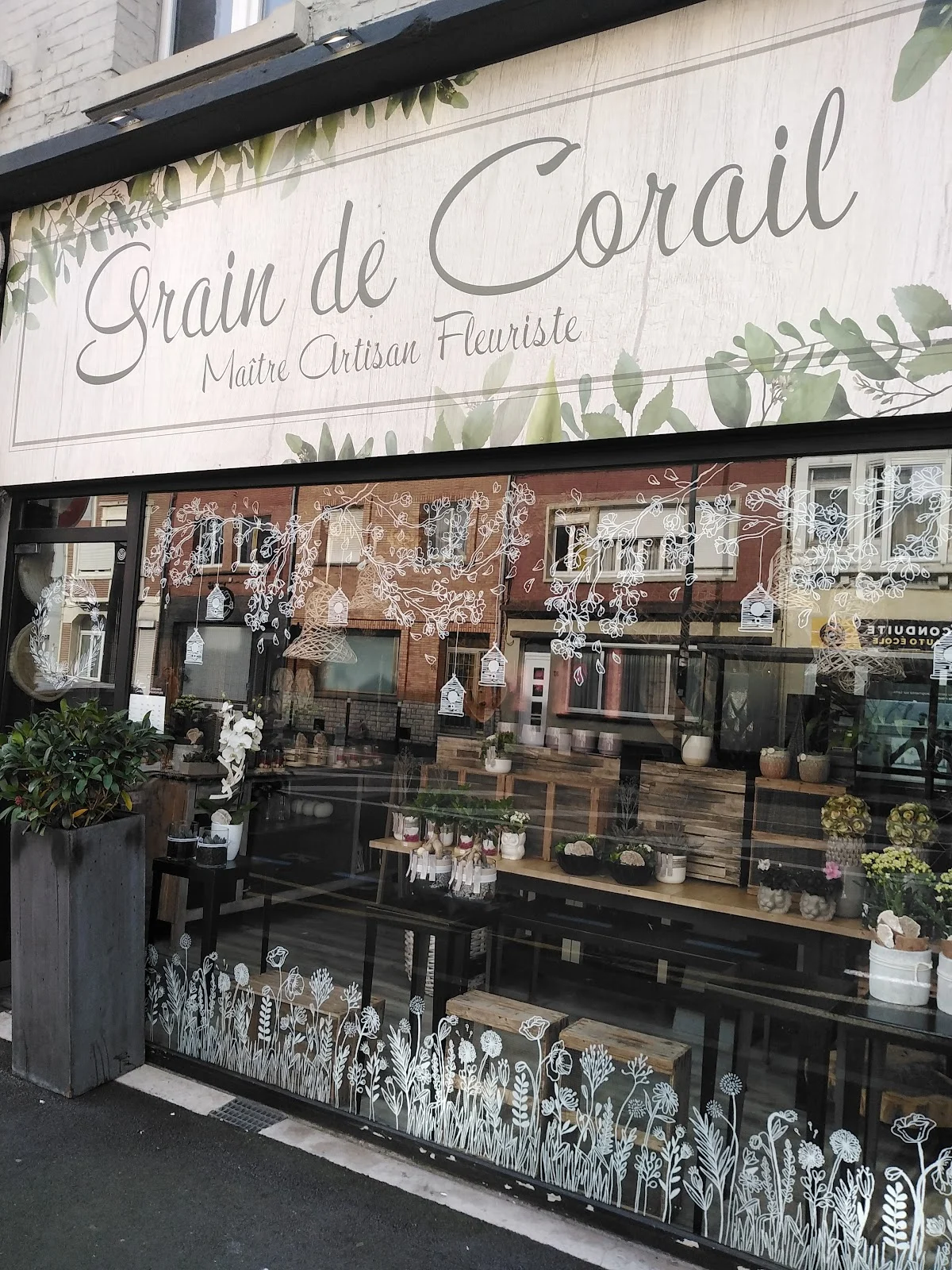 GRAIN DE CORAIL
