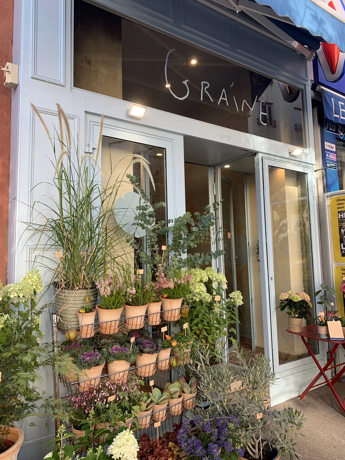 Graine - 4