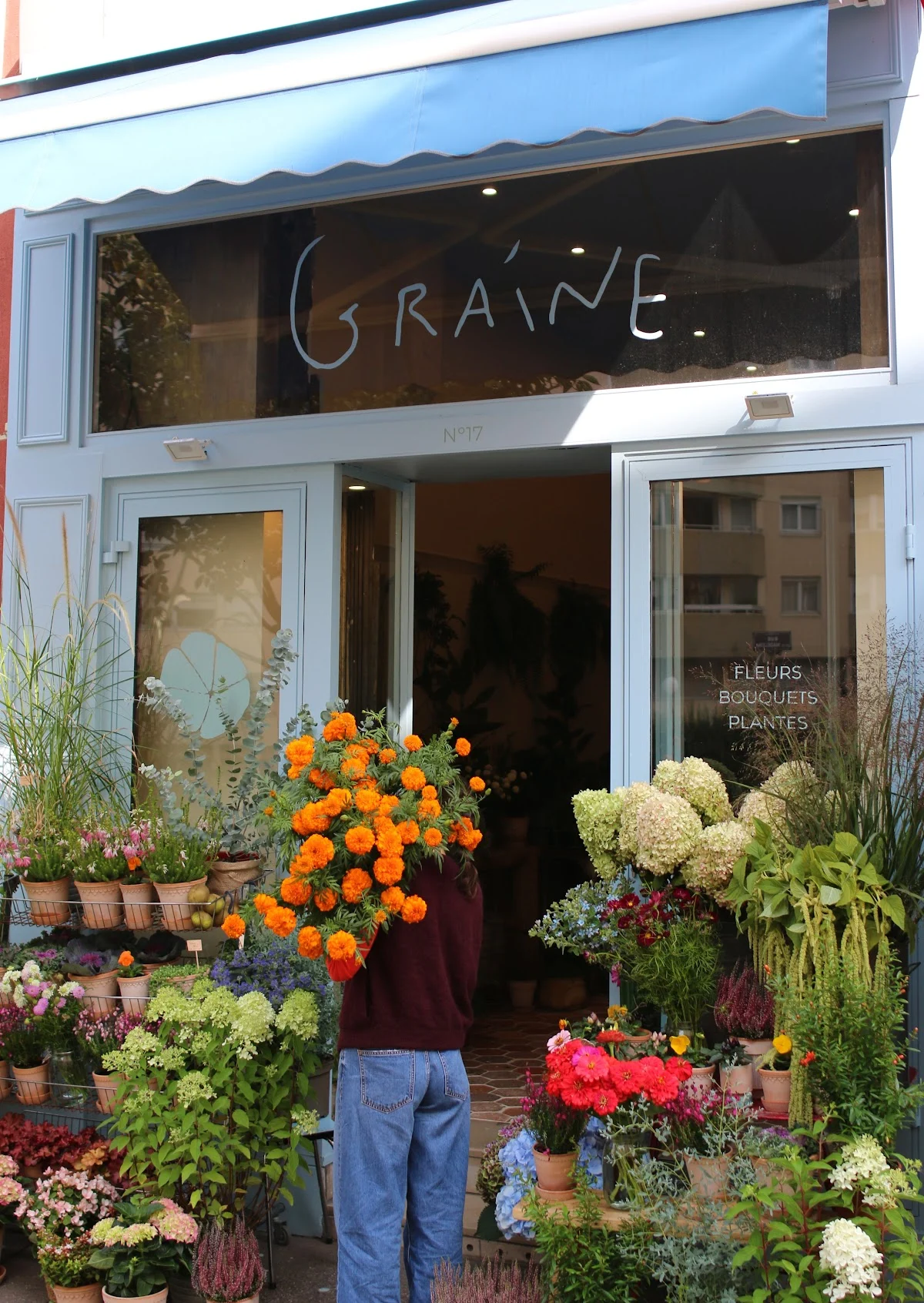 Graine - 5