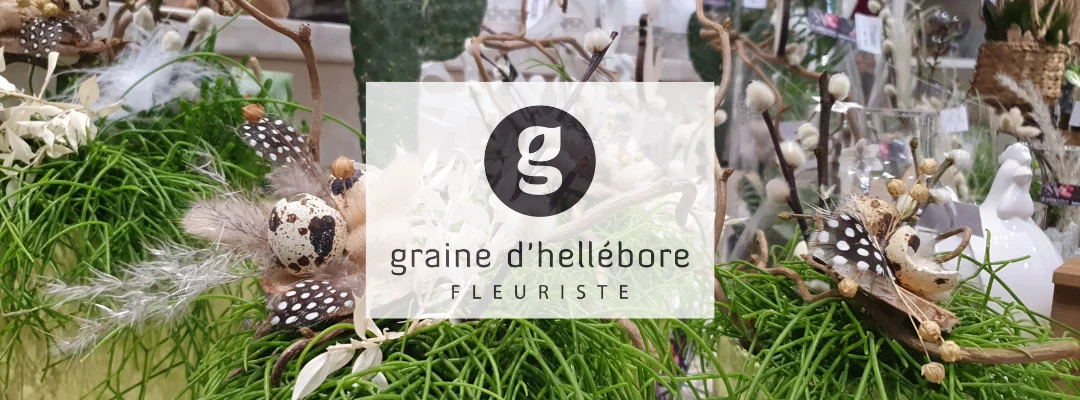 Graine d'Hellébore - 5